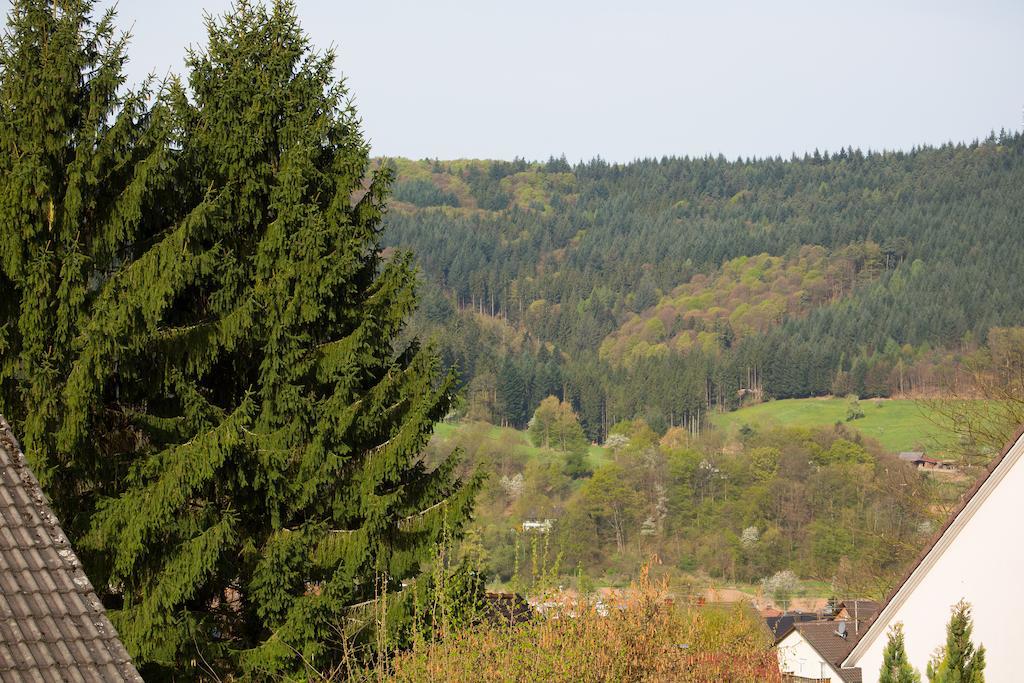 Schoene Aussicht Seelbach  Cameră foto
